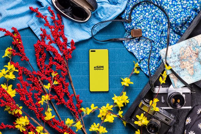eSIM.dog Review for Travelers WorldPass, Plans and What to Know